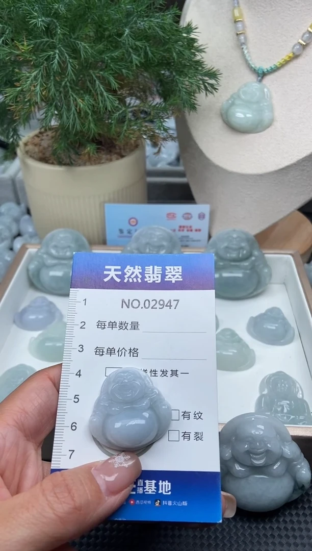 颈饰未镶嵌翡翠纯天然A货翡翠2947