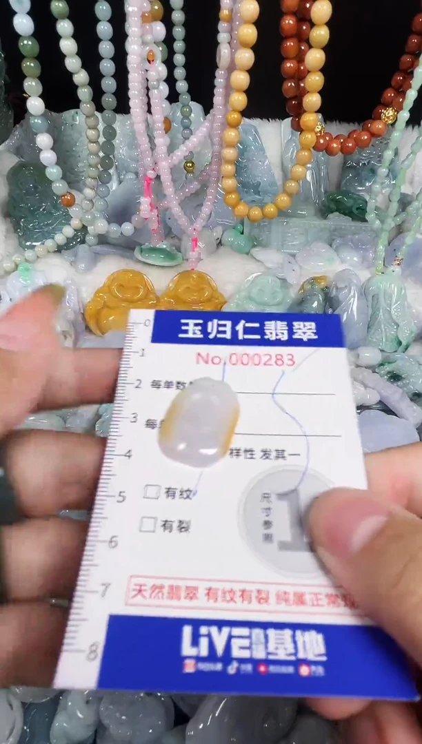 颈饰未镶嵌翡翠26