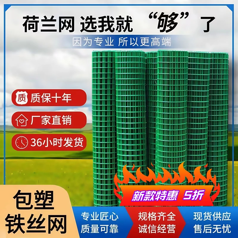 荷兰网硬塑铁丝网 拦鸡农村拦鸡鸭围栏网 包塑鸡鸭鹅绿色喷塑加粗
