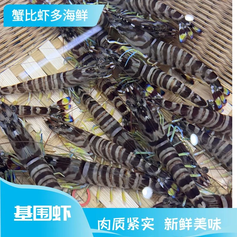 基围虾断氧福利 1 斤 27 只左右