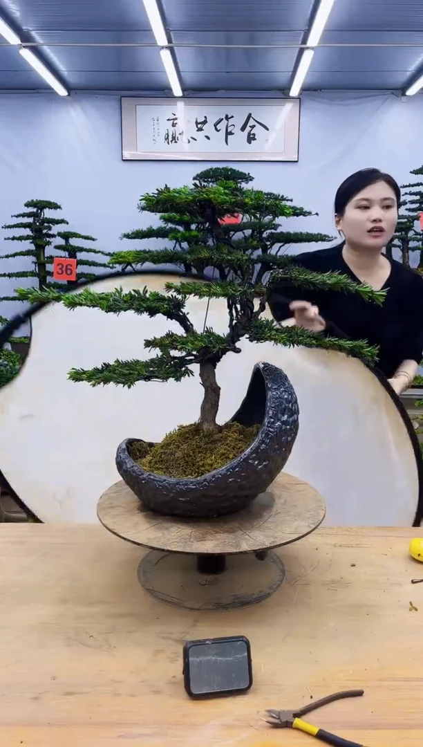 无花朵一物一拍，所见即所得