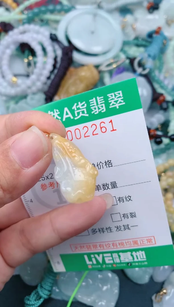 颈饰未镶嵌翡翠.0002261
