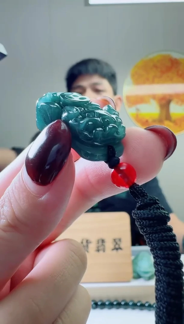 颈饰未镶嵌翡翠天然A货翡翠  多样性随机发其一