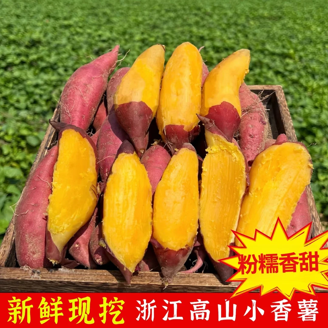 浙江临安天目山小香薯皮薄果肉无筋丝老少皆宜新鲜现挖现发助农价