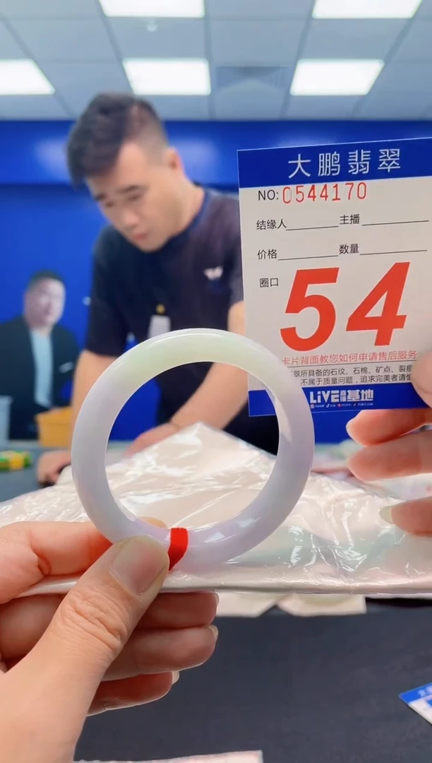 未镶嵌手镯翡翠AAAAAAAAA