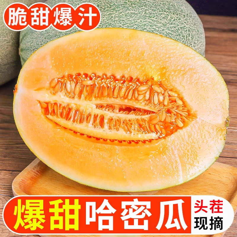 正宗海南哈密瓜新鲜一箱水果当季整箱包邮现季网纹瓜香甜蜜瓜应季