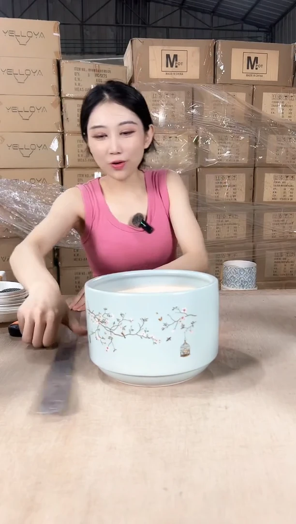 蝴蝶兰鸟笼蓝色小号18x12