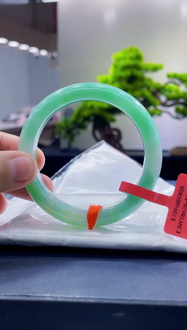未镶嵌手镯翡翠4