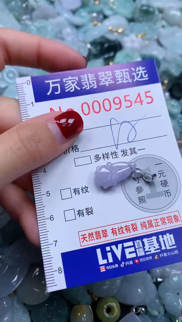 颈饰未镶嵌翡翠9545