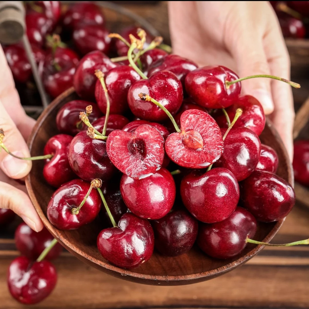 【海运】桑提娜樱桃智利4J车厘子1斤同城小时达桑提娜智利