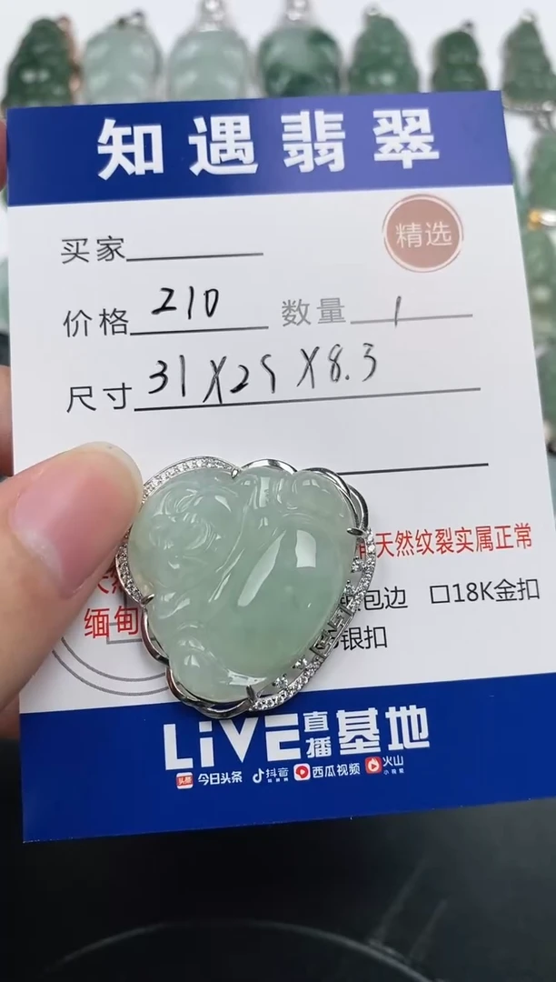 颈饰银S925镶嵌翡翠挂件
