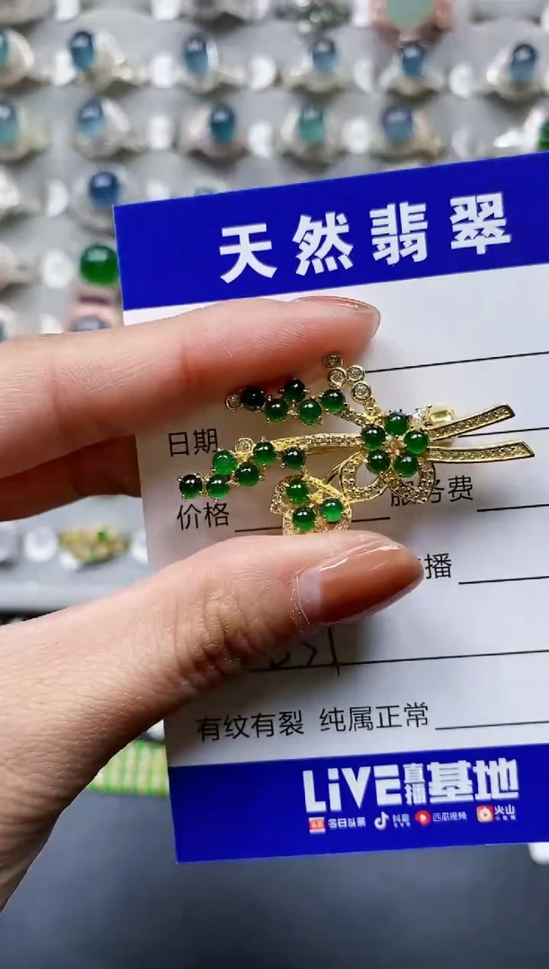 【闪购商品】翡翠颈饰银S925镶嵌0851