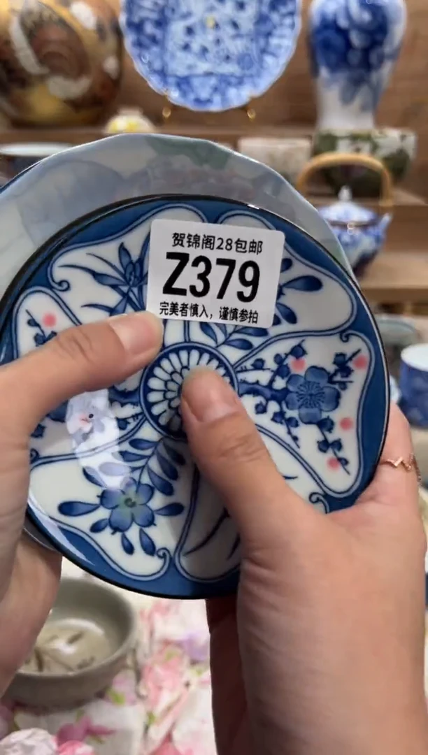 瓷片谢*珊    Z379