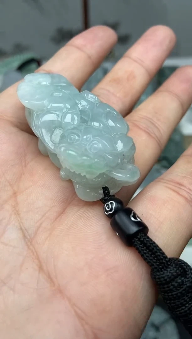 颈饰未镶嵌翡翠貔貅