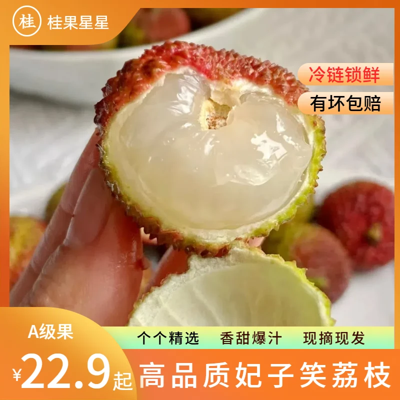 【高品质妃子笑】荔枝 冷链锁鲜发货 当天采摘当天发 非桂味白糖罂