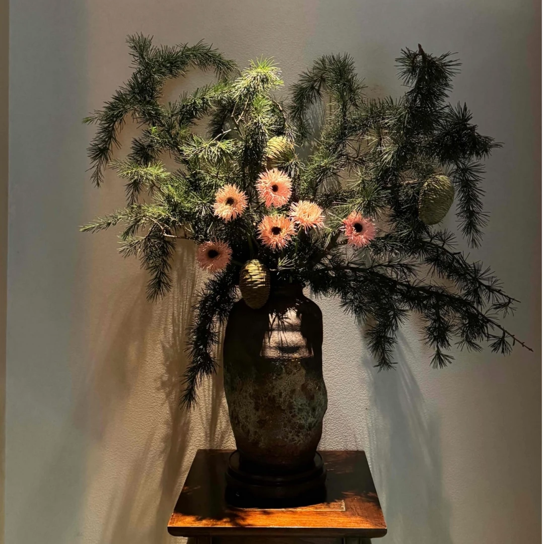 【雪松果】木玫瑰 幸运 惊喜 松香 插花 氛围 云南顺丰包邮