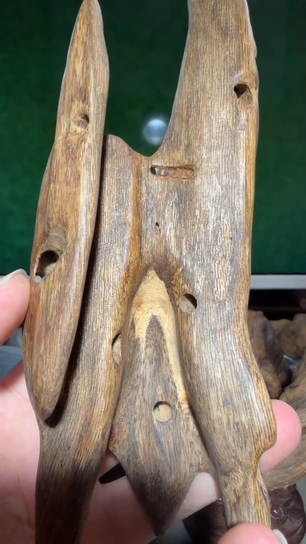 沉香吊坠海南鸡母虫多样性发一