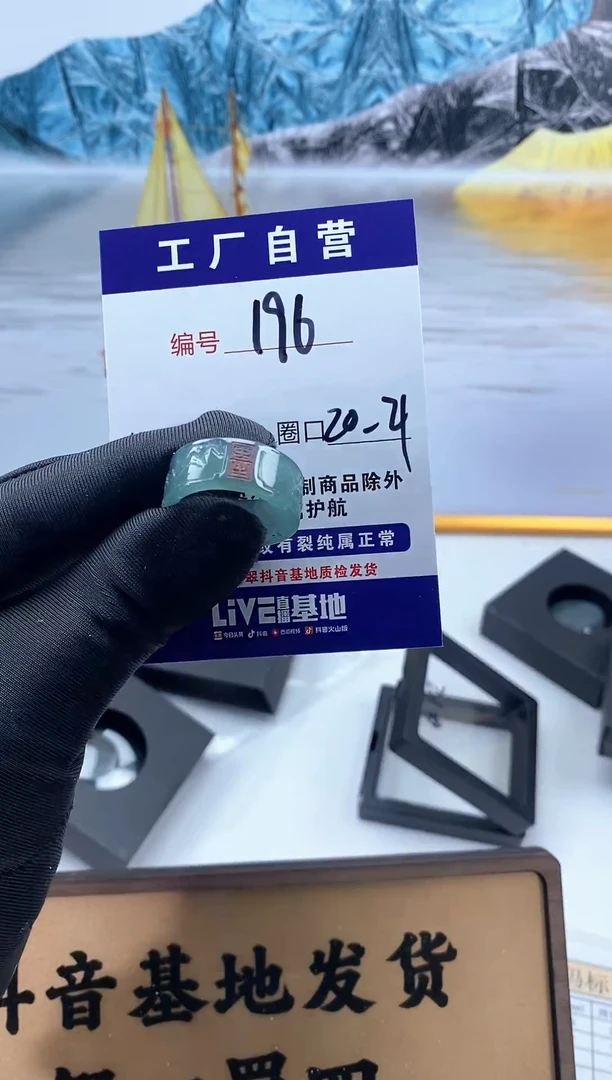 未镶嵌戒圈翡翠196
