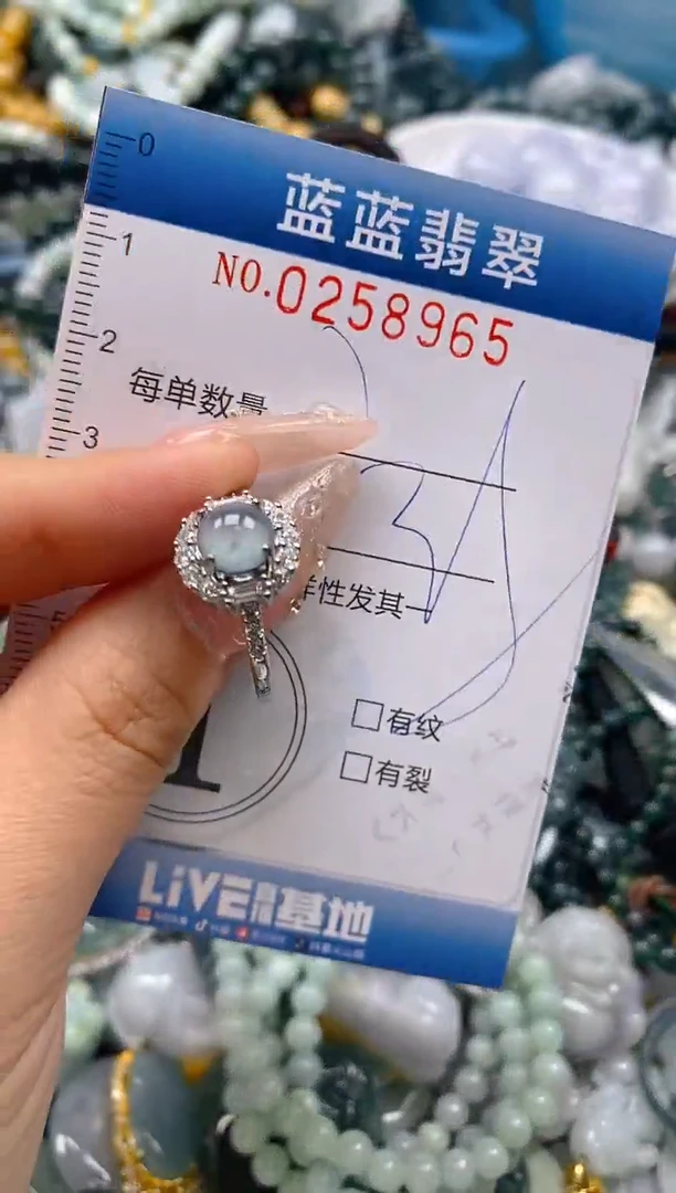 翡翠未镶嵌颈饰闪购0258965