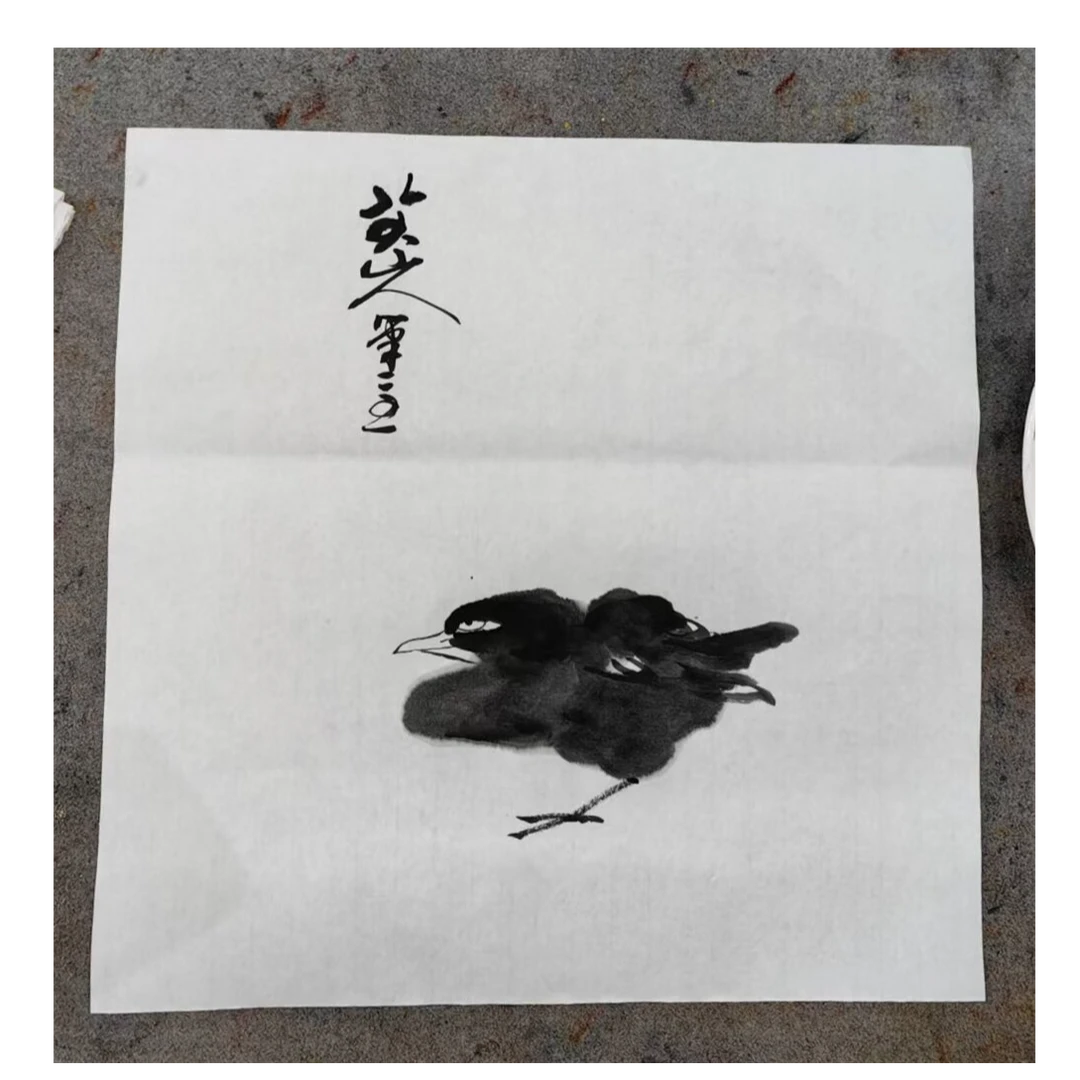 张文臣院长八大现场花鸟画