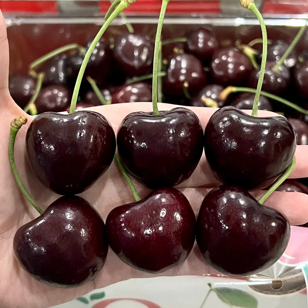 A仔2J纯冰车厘子4斤原盒