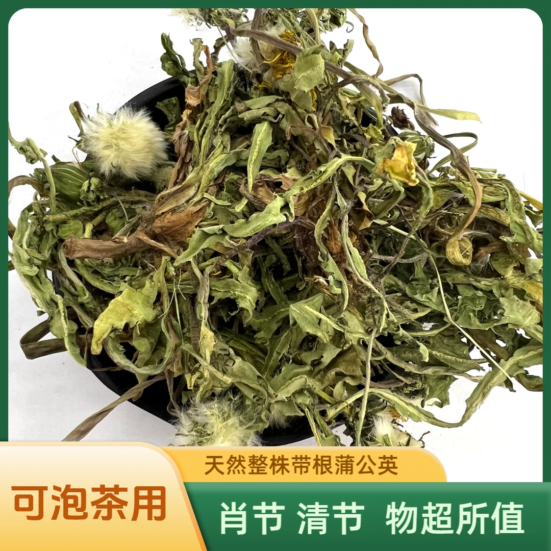 野蒲公英整株煮水泡澡排某读清眸热天然婆婆丁茶批发