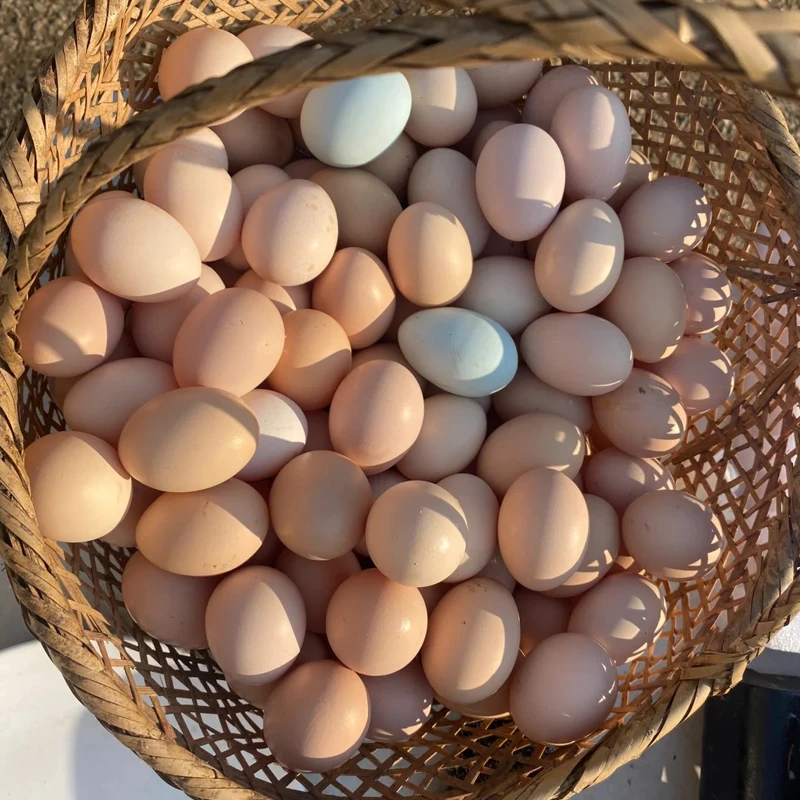 顾鲜生农家散养外婆香富硒土鸡蛋农村正宗新鲜散养土鸡蛋