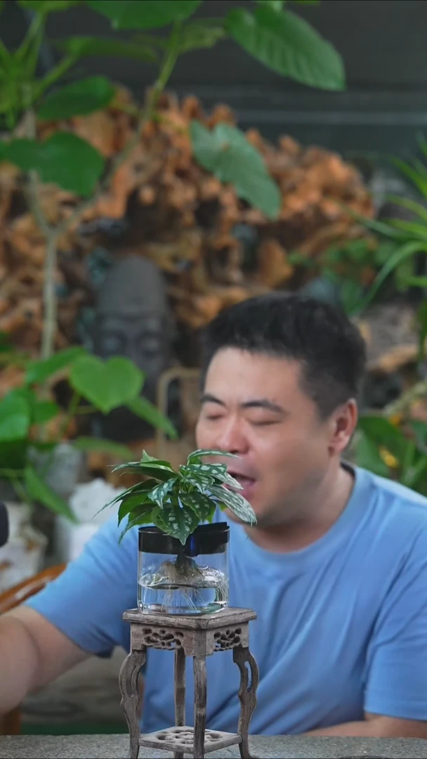 完全开放冰水花419T