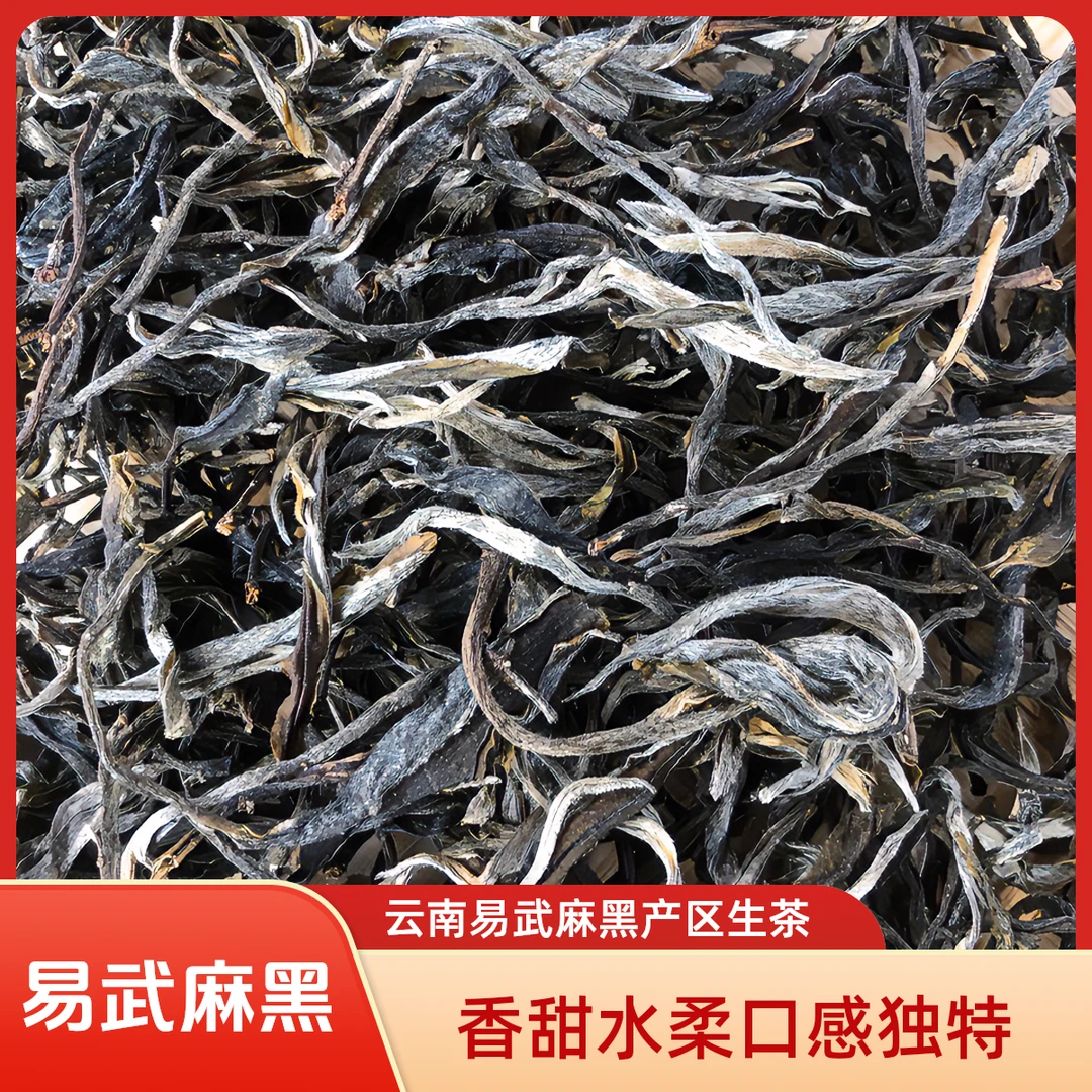 【云南普洱茶生茶】易武产区麻黑2024年头春散茶(香甜水柔)
