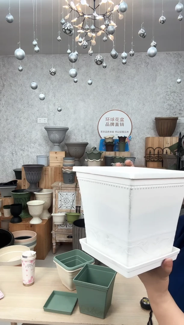 西红柿方盆白色10只装带托