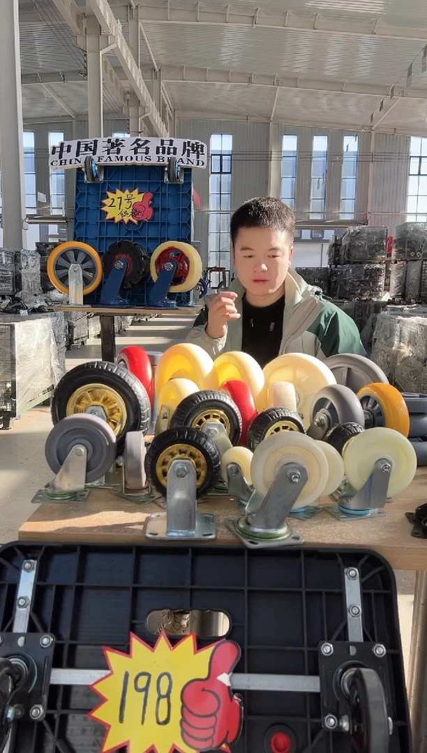 坚哥  专属  6寸支架2定2万  带螺丝