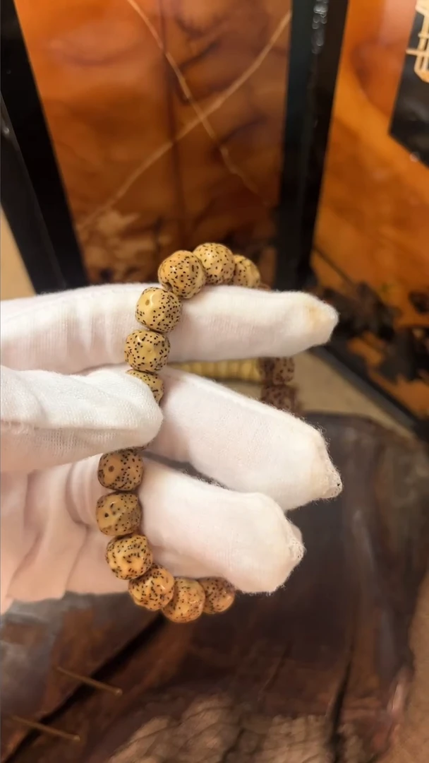 手串星月菩提无相陈籽