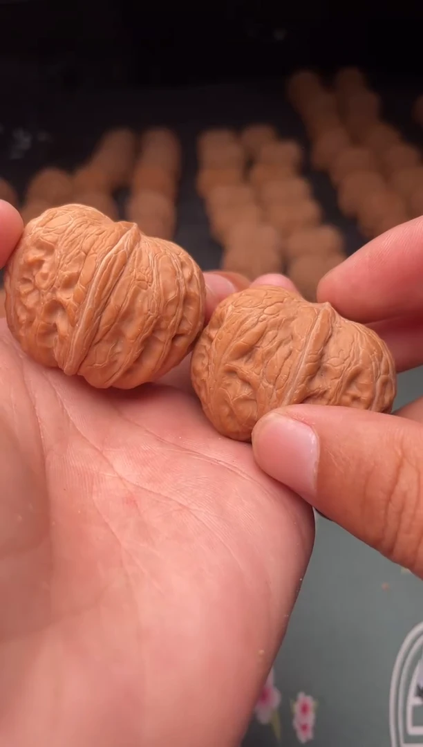 核桃a39  元宝   40尺