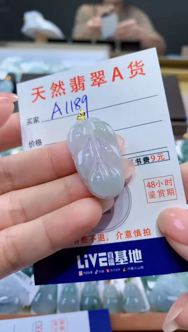 颈饰未镶嵌翡翠天然翡翠A货挂件