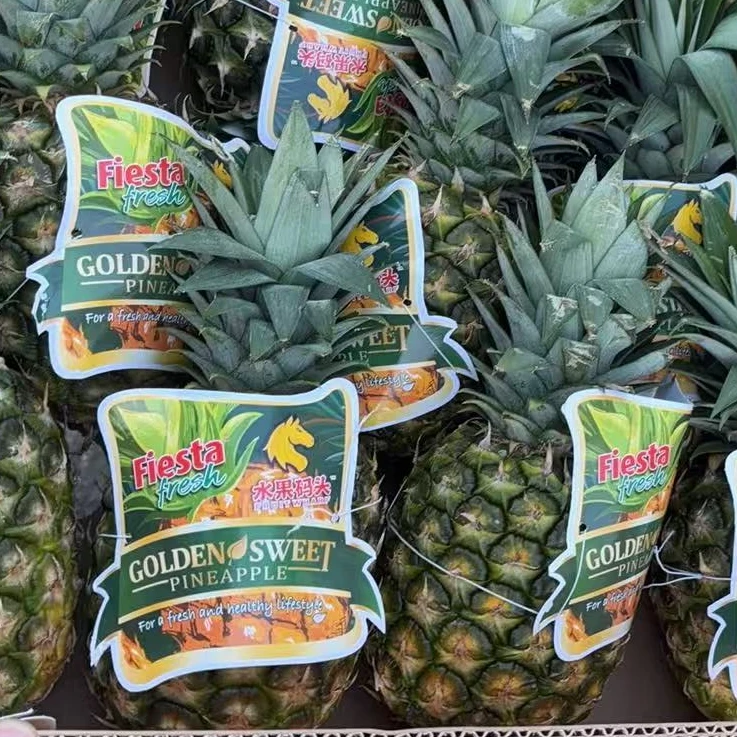 【两颗】[Y]好吃的凤梨 份/2颗 仅限太原晋中吕梁忻州可拍