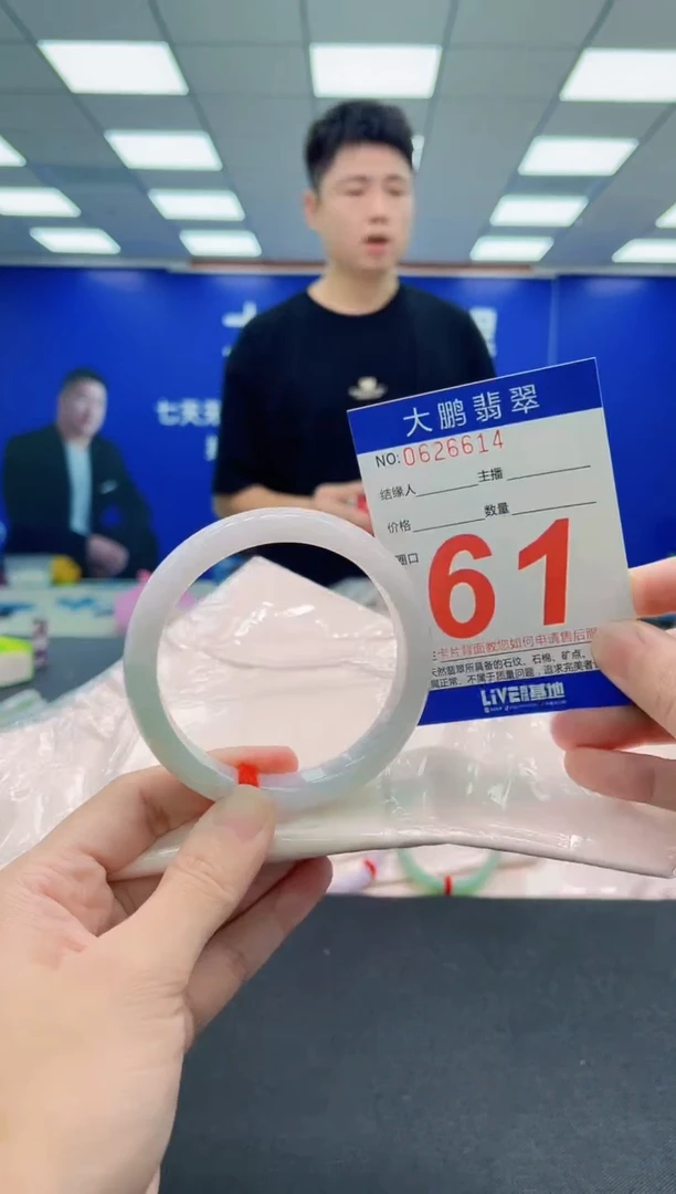 未镶嵌手镯翡翠AAAAAAAAA