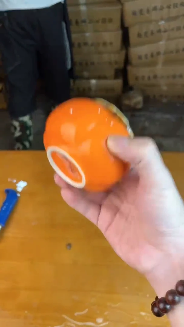 瓷片其他其他其他其他