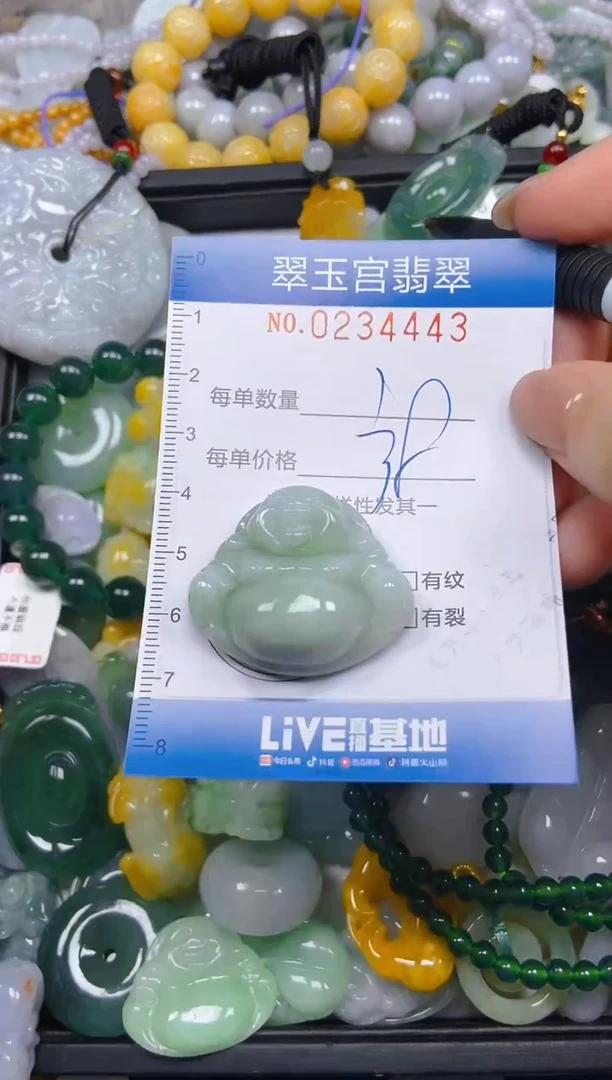 颈饰未镶嵌翡翠闪购C0234443