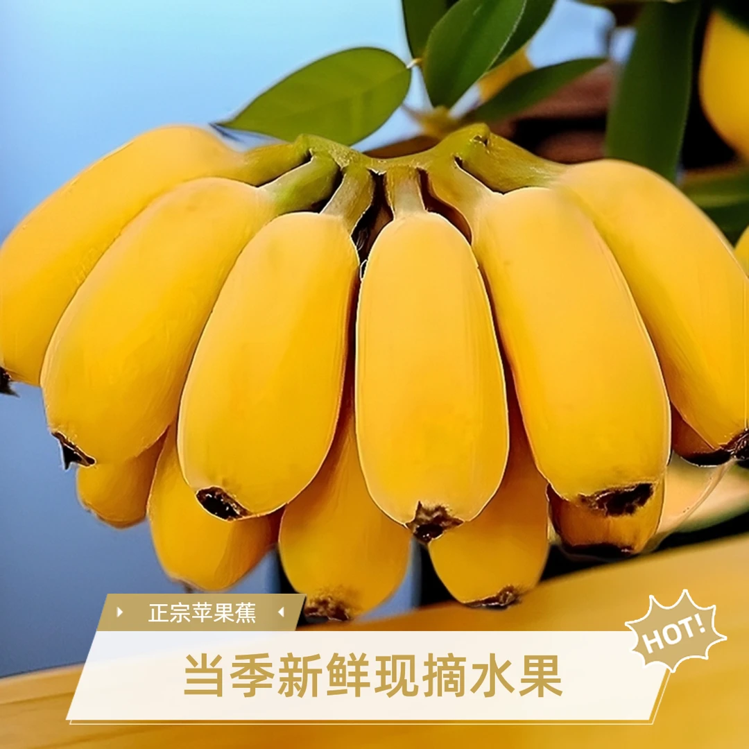 广东当季水果正宗苹果蕉新发地苹果粉蕉香甜水果香蕉包邮新鲜现摘