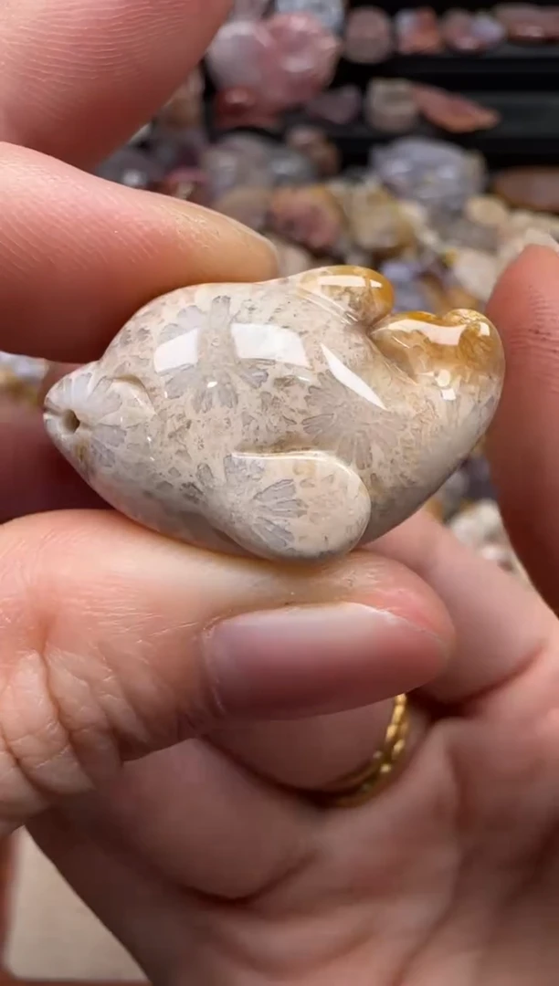 【闪购商品】硅化珊瑚（珊瑚玉）颈饰未镶嵌211