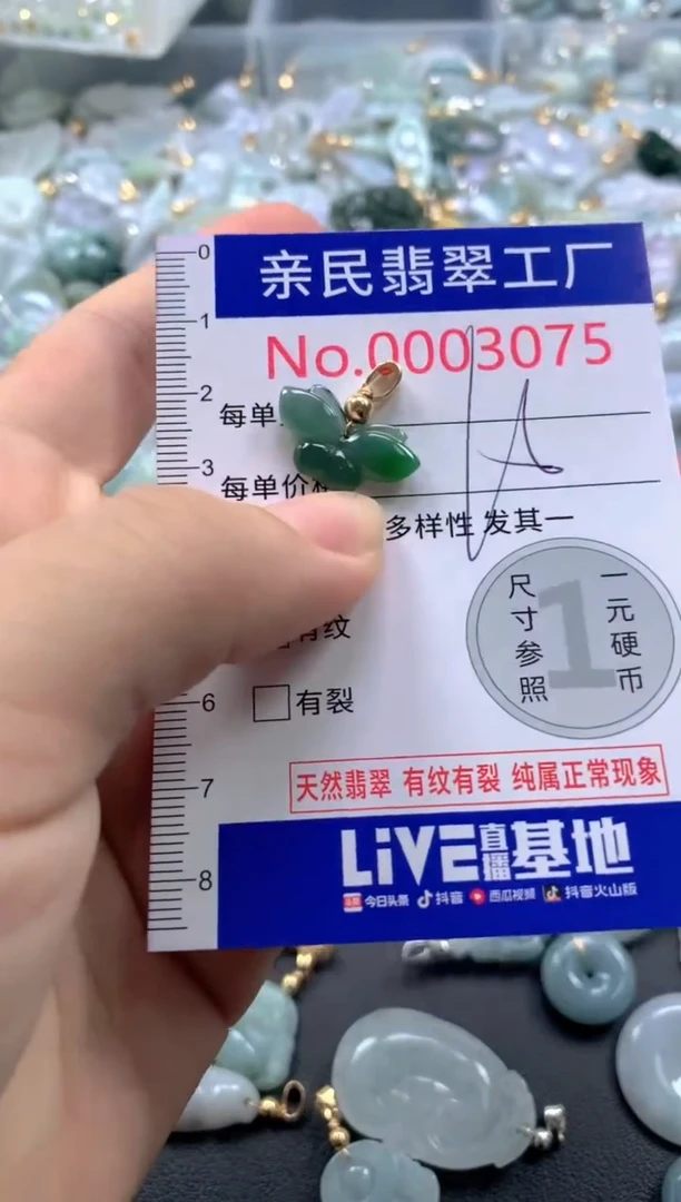 颈饰未镶嵌翡翠3075
