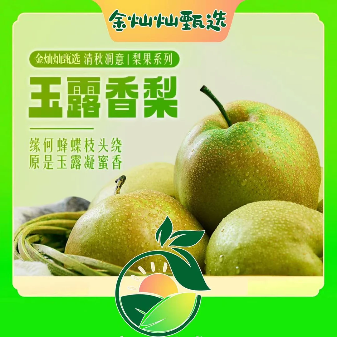 山西运城玉露香梨5斤新鲜皮薄多汁一整盒包邮