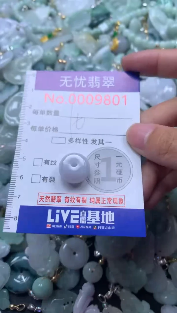 颈饰未镶嵌翡翠9801