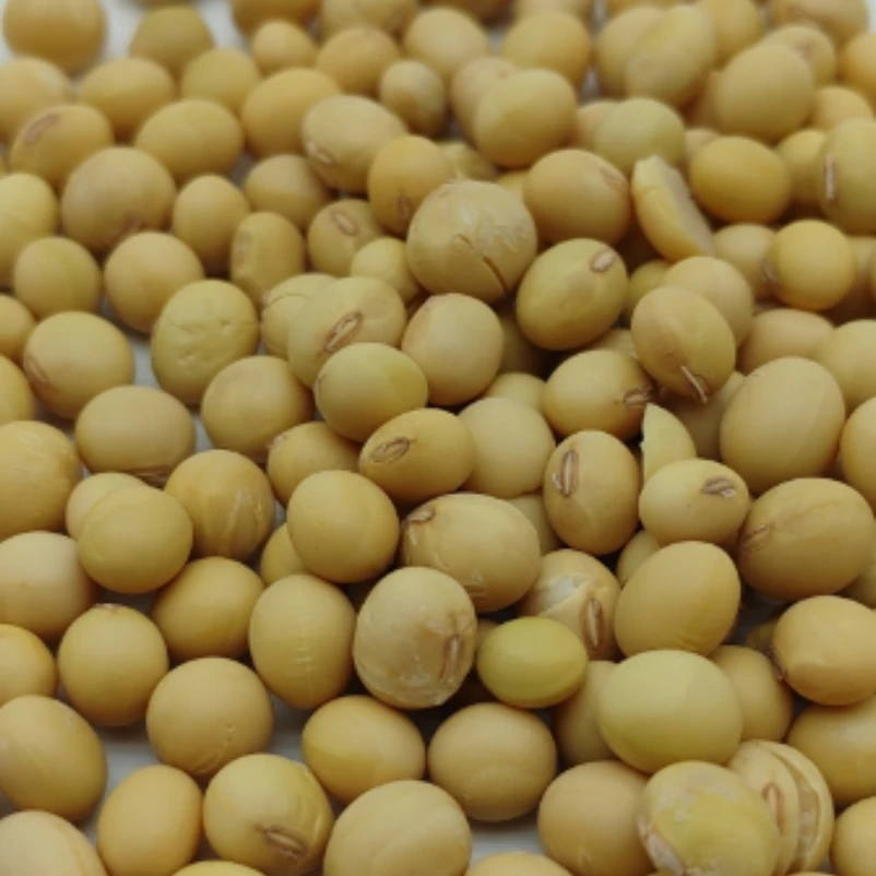 广东-南雄 粤北农家 小黄豆1斤装