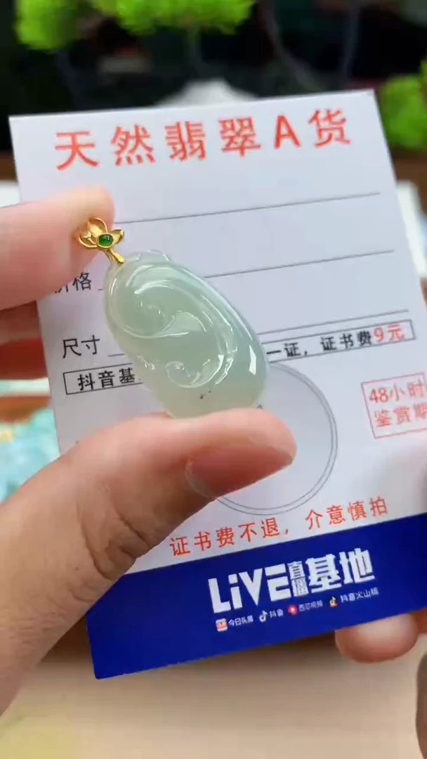 颈饰未镶嵌翡翠天然A货翡翠挂件