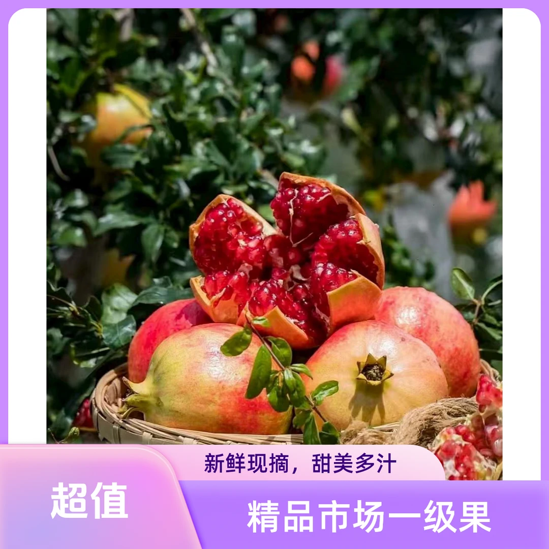 【精品果】会理突尼斯软籽石榴整箱5/9斤爆甜多汁新鲜应季水果