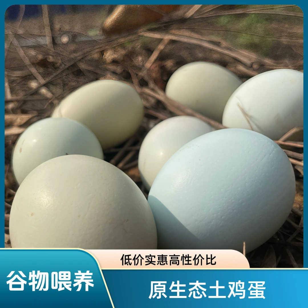 【新人福利】原生态土鸡蛋农家散养新鲜鸡蛋谷物杂粮喂养笨鸡蛋