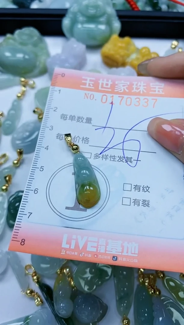 【闪购商品】翡翠颈饰未镶嵌闪购0170337