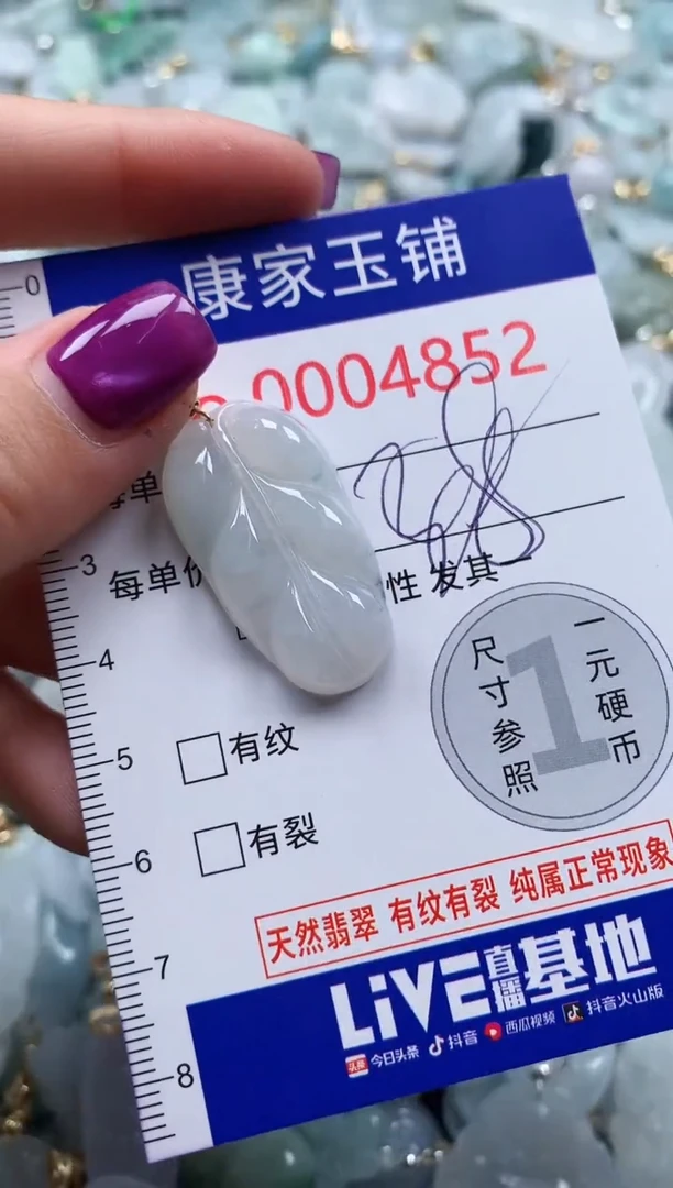 颈饰未镶嵌翡翠4852