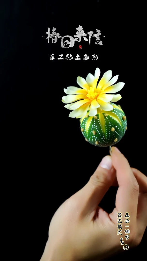 星兜锦。。。。。。。。。。。。